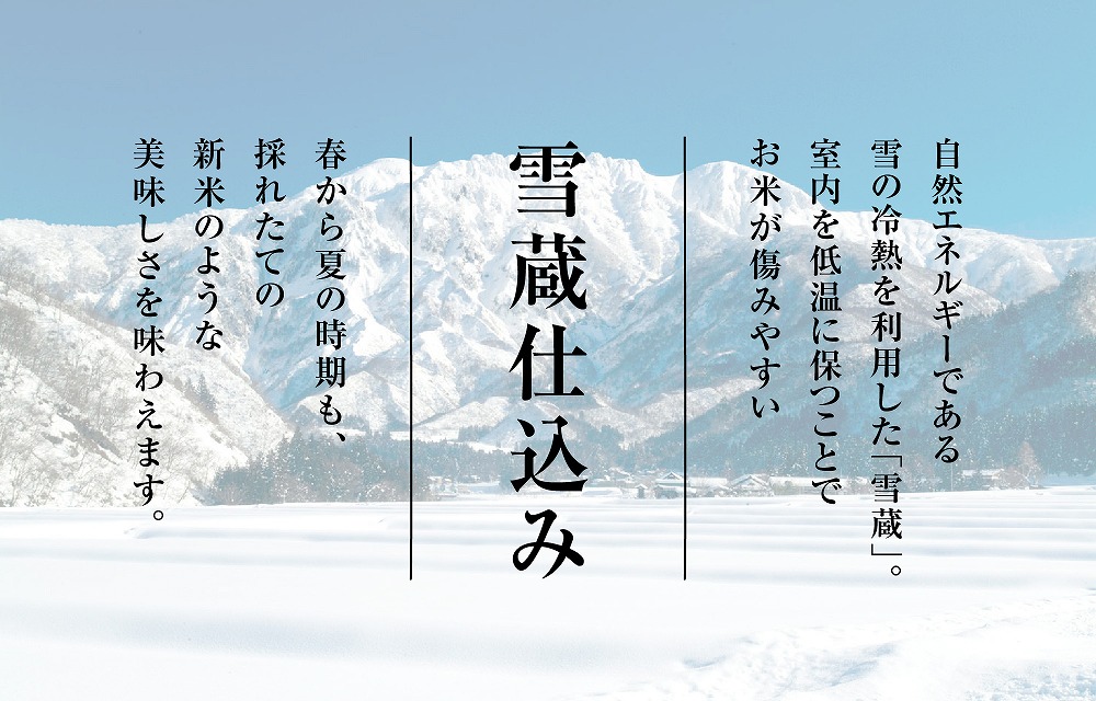 【令和5年産予約　頒布会】雪温精法　佐渡産こしひかり10kg×6回