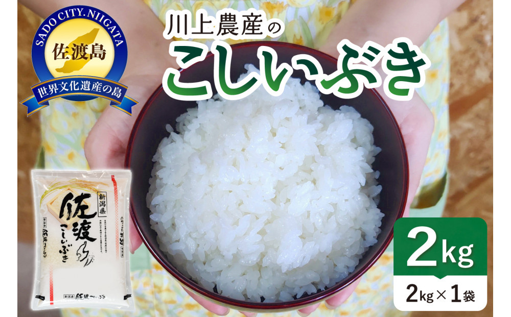 【レビューキャンペーン実施中！】令和7年産 佐渡 川上農産のこしいぶき（2kg）