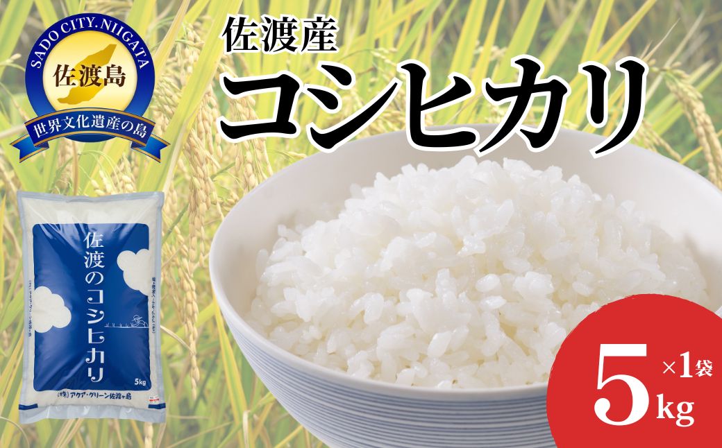【令和7年産】佐渡産コシヒカリ　5kg