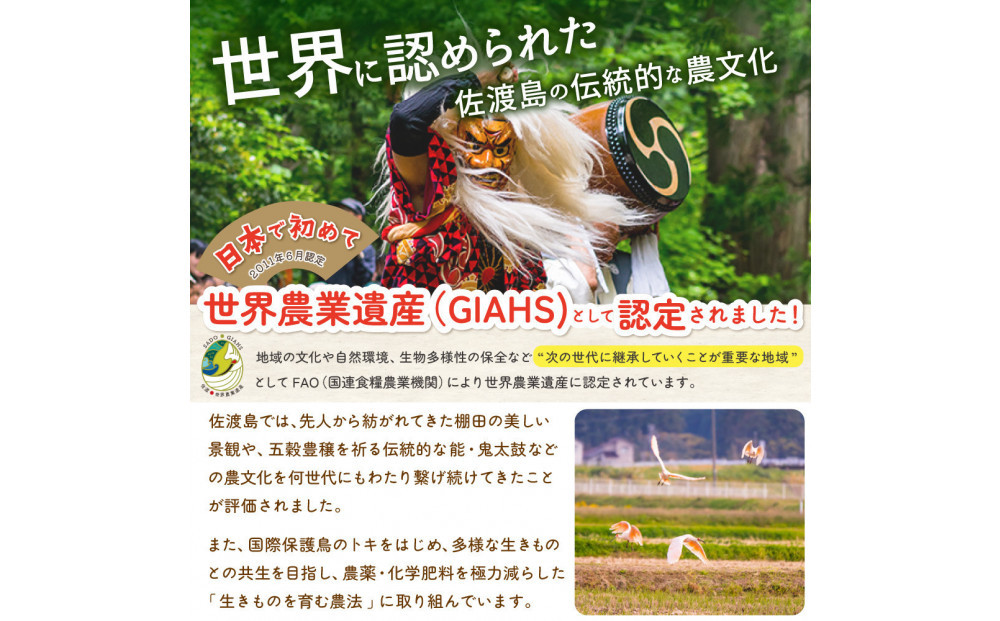 菴先ク。蟲カ逕」繧ウ繧キ繝偵き繝ェ 蟯ゥ鬥匁遶懈」夂伐邀ウ 逋ス邀ウ2Kg縲蝉サ、蜥7蟷エ逕」縲