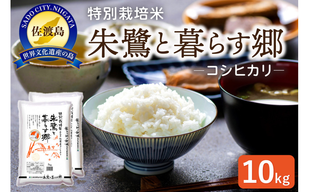 佐渡産コシヒカリ 朱鷺と暮らす郷（10kg（5kg×2））