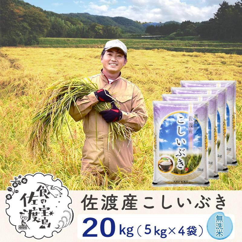 佐渡島産 こしいぶき 無洗米20kg(5kg×4袋)【令和5年産】〜農薬5割減〜