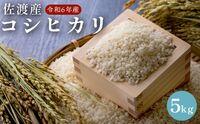 佐渡島産　コシヒカリ　5kg　令和６年産