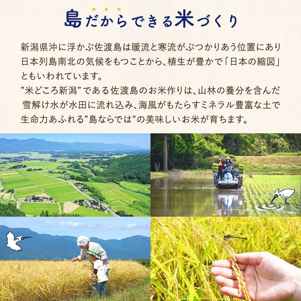 佐渡島産あきたこまち 白米5kg (5kg×1袋） 令和7年産 【食の宝島佐渡】