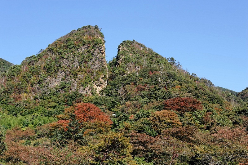 äžçæåéºç£ãäœæž¡å³¶ã®éå±±ãå¿æŽã³ãŒã¹