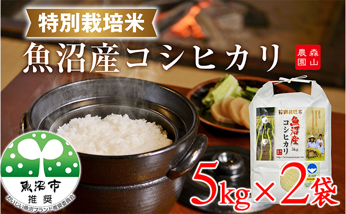 令和7年産 森山農園 特別栽培米 魚沼産コシヒカリ（新潟県認証）10kg（5kg×2） お米 