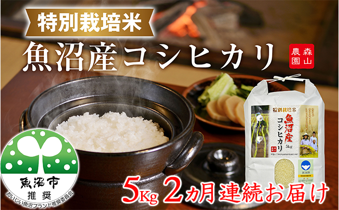 2ヶ月連続お届け 森山農園特別栽培米魚沼産コシヒカリ(新潟県認証)5kg お米