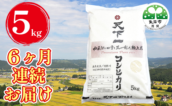 定期便 魚沼産 天下一コシヒカリ 5kg 全 6回 （ 米 コシヒカリ こしひかり 定期 お米 こめ コメ おこめ 白米 魚沼 新潟 魚沼産コシヒカリ 魚沼産こしひかり お楽しみ ）