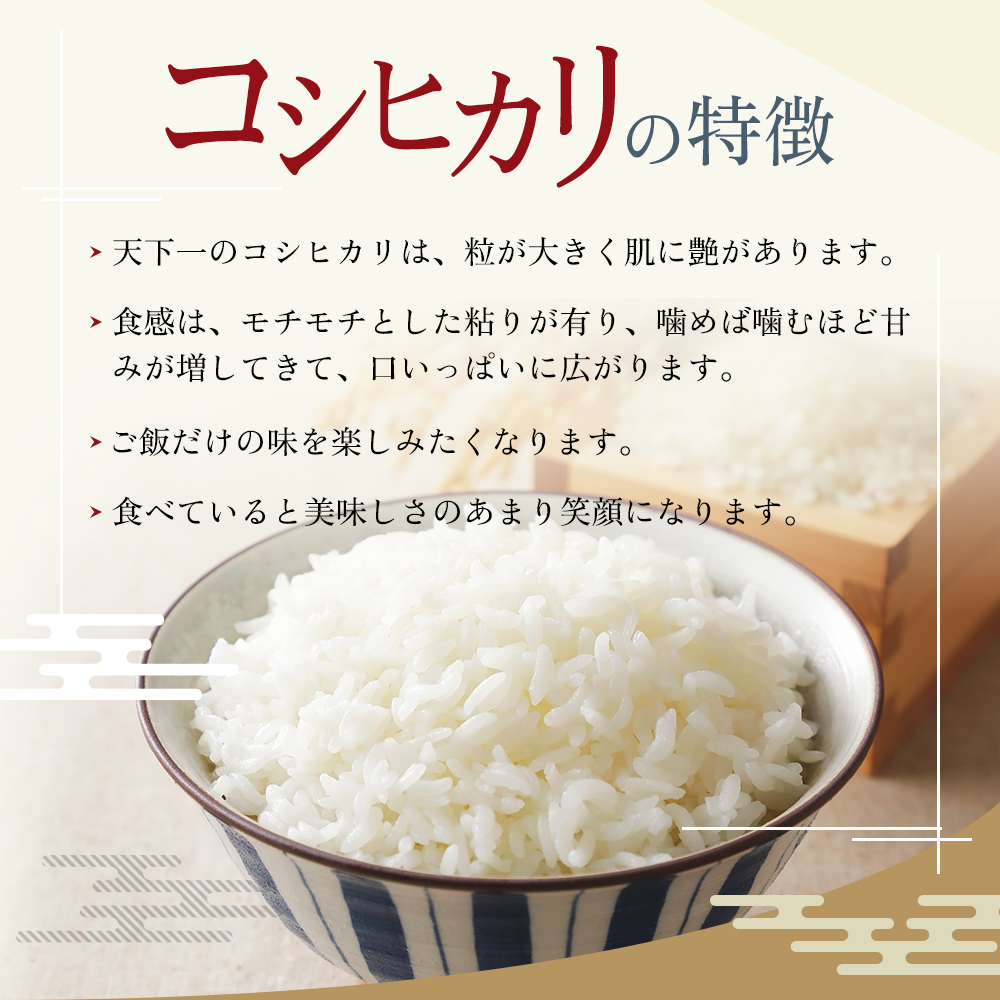 定期便 魚沼産 天下一コシヒカリ（商標）3kg 食べればわかります！全3回 お米 精米 3キロ 