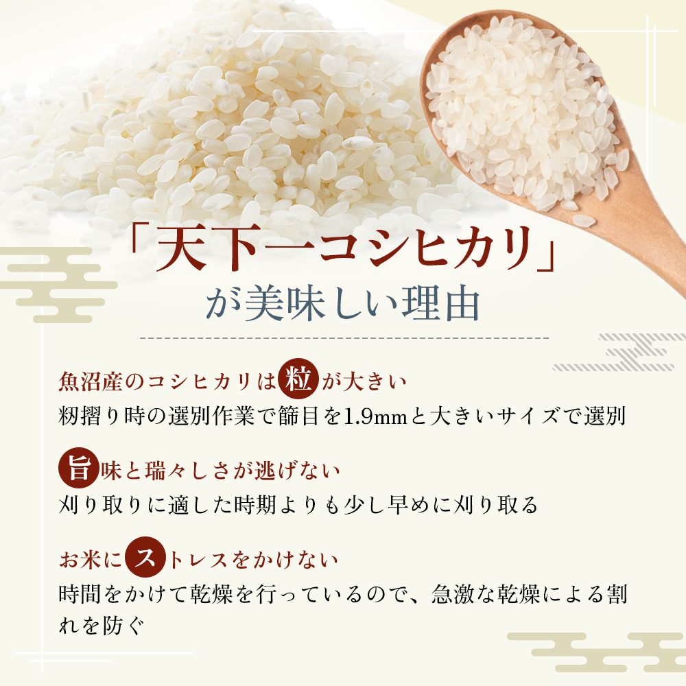 定期便 魚沼産 天下一コシヒカリ（商標） 3kg 食べればわかります！ 全 9回 （ 米 定期便 9ヶ月 コシヒカリ お米 精米 新潟 魚沼 魚沼産コシヒカリ 魚沼産こしひかり 米3kg 定期 お楽しみ ）