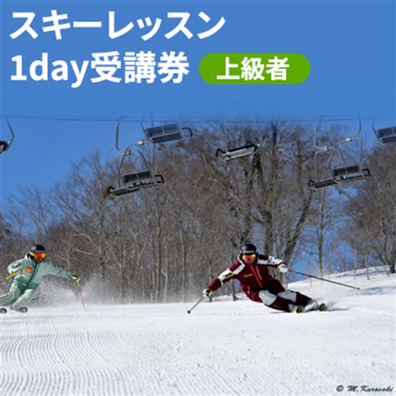 スキーレッスン 1day 受講券 ～上級者～ （ チケット 上級者 スキーレッスン 体験 スキーチケット スキー場 施設利用券 スポーツ 魚沼 ）
