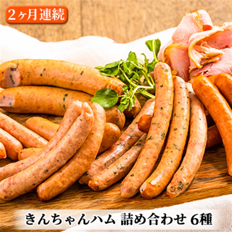 きんちゃんハム 詰め合わせ 2ヶ月連続お届け お肉 ソーセージ 定期便