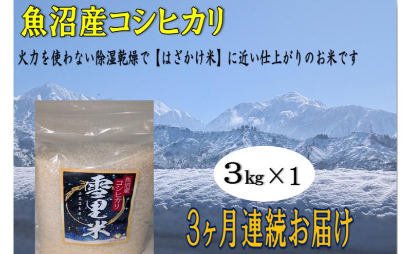 生産者直送！魚沼産コシヒカリ【雪里米 ふるさとまい】 精米 3kg 3ヶ月連続お届け お米 ライス ご飯 主食 新潟県産 産地直送 定期便 3回