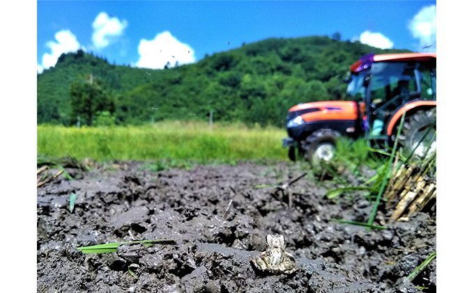 çç£è
çŽéïŒé沌ç£ã³ã·ãã«ãªãéªéç±³ ãµãããšãŸãã 粟米3kgÃ2 6ã¶æé£ç¶ãå±ã ãç±³ ã©ã€ã¹ ã飯 äž»é£ æ°æœçç£ ç£å°çŽé å®æäŸ¿ å幎 6å