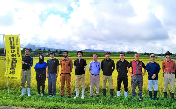 çç£è
çŽéïŒé沌ç£ã³ã·ãã«ãªãéªéç±³ ãµãããšãŸãã 粟米3kgÃ2 3ã¶æé£ç¶ãå±ã ãç±³ ã©ã€ã¹ ã飯 äž»é£ æ°æœçç£ ç£å°çŽé å®æäŸ¿ 3å