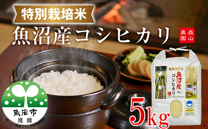 令和8年産 先行受付 森山農園 特別栽培米 魚沼産コシヒカリ（新潟県認証）5kg お米 