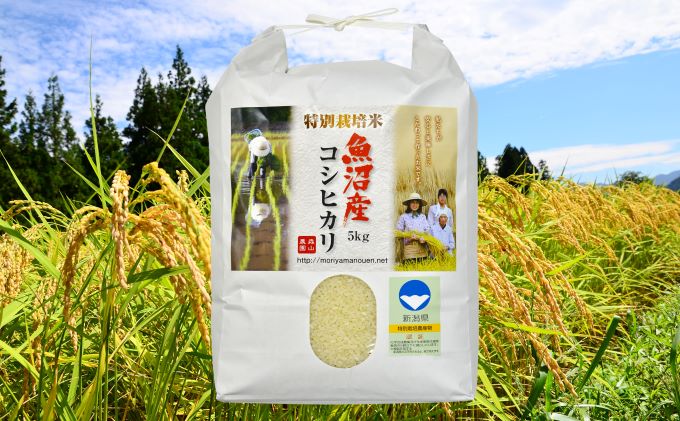 令和8年産 先行受付 森山農園 特別栽培米 魚沼産コシヒカリ（新潟県認証）5kg お米 