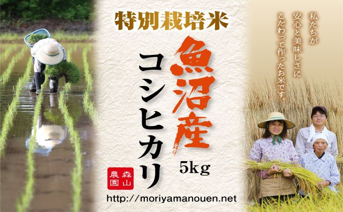 令和8年産 先行受付 森山農園 特別栽培米 魚沼産コシヒカリ（新潟県認証）5kg お米 