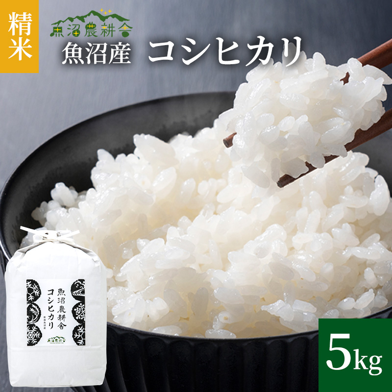 【令和8年産 新米先行受付】米農家自慢の 魚沼産 コシヒカリ （精米）5kg×1袋 お米 ライス ご飯 主食 新潟県産 産地直送 おにぎり お弁当