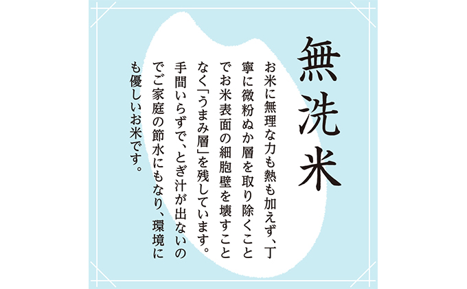 令和6年産 雪室貯蔵 魚沼産コシヒカリ無洗米5kg(2.5kg×2) お米 