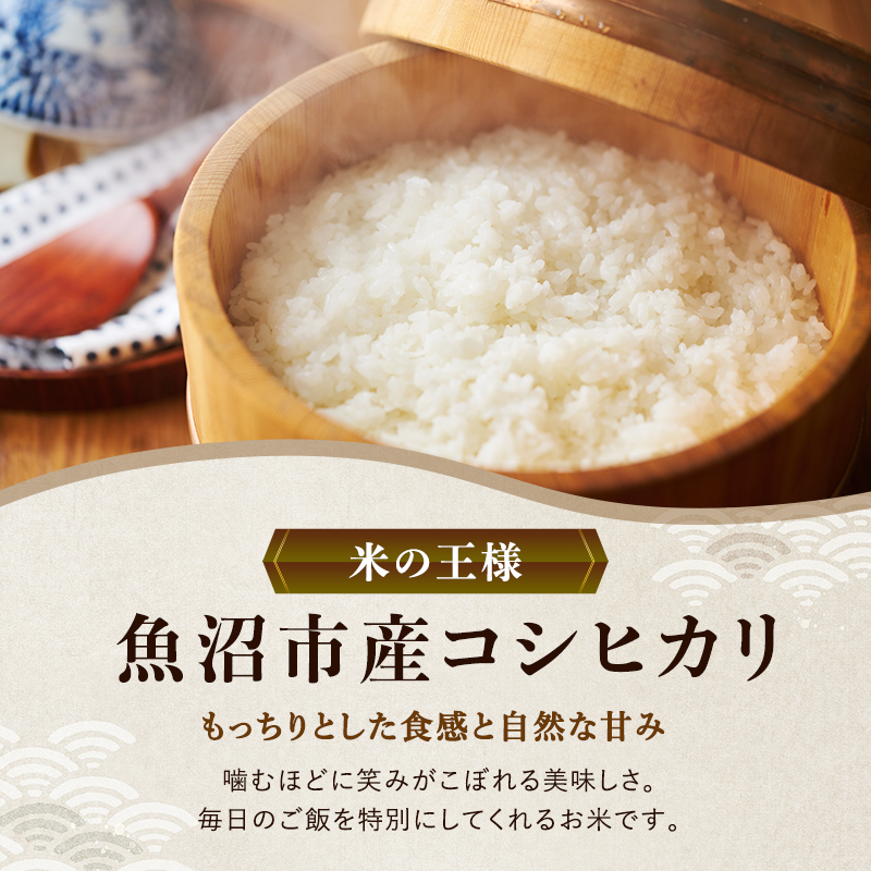 雪室貯蔵 魚沼産 コシヒカリ 無洗米 2.5kg 12ケ月 連続お届け ( 米 定期便 お米 こめ コメ おこめ 白米 こしひかり 12回 30kg お楽しみ ) 新潟県 