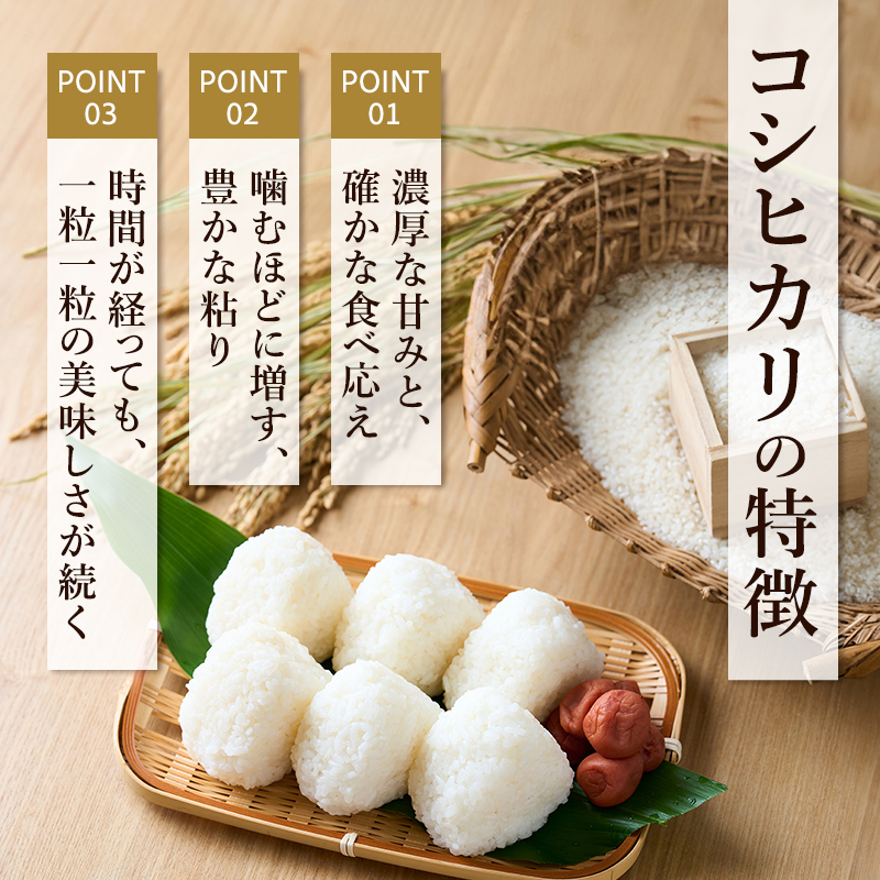 雪室貯蔵 魚沼産 コシヒカリ 無洗米 2.5kg 12ケ月 連続お届け ( 米 定期便 お米 こめ コメ おこめ 白米 こしひかり 12回 30kg お楽しみ ) 新潟県 