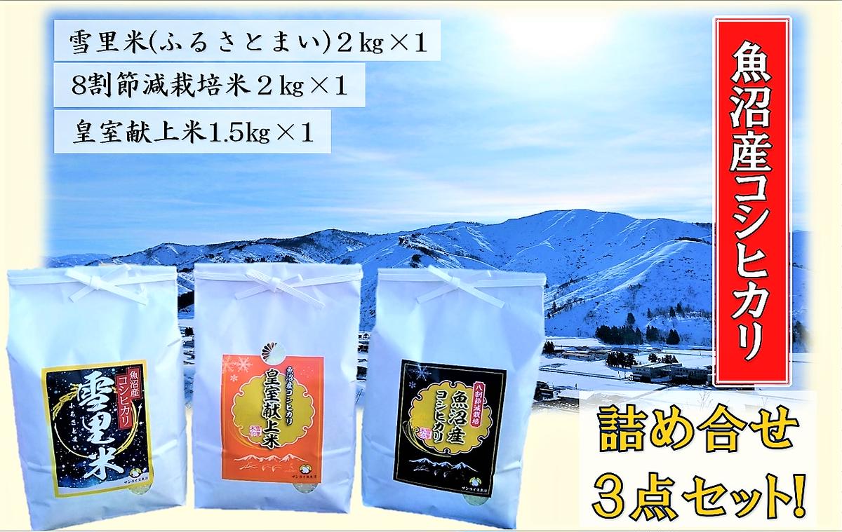 【令和5年産】サンライス魚沼のお米  詰め合わせセット  精米（2kg×2・1.5kg×1）