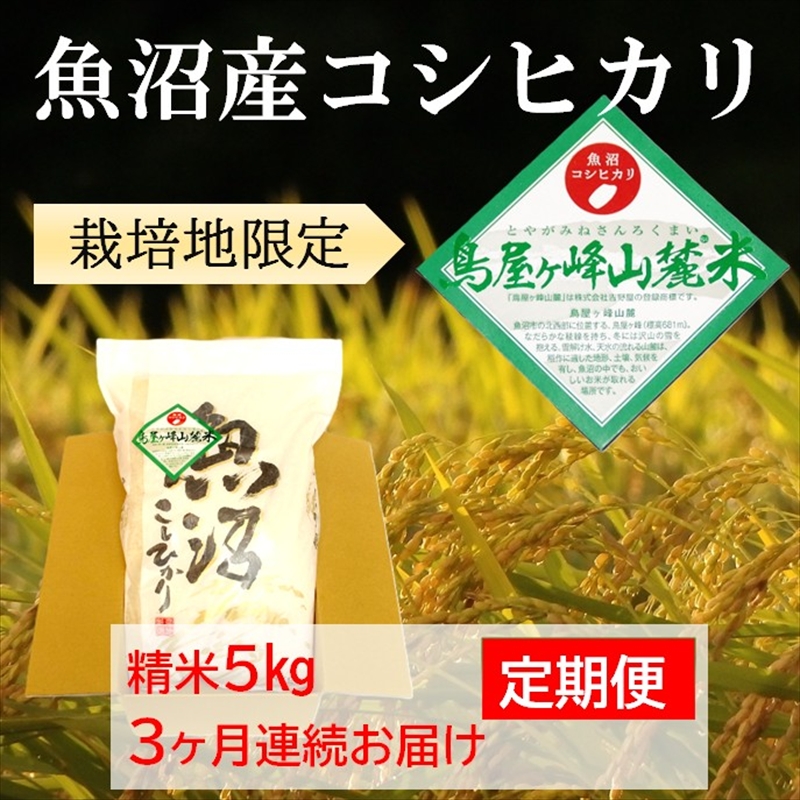 魚沼コシヒカリ 鳥屋ヶ峰山麓米（精米）5kg 3ヶ月連続お届け お米 新潟県産