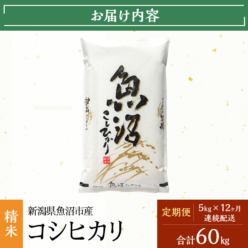 米 定期便 12ヶ月 雪国逸品 コシヒカリ 5kg 精米 白米 お米 魚沼産コシヒカリ 新潟米 新潟 魚沼市 定期 12回
