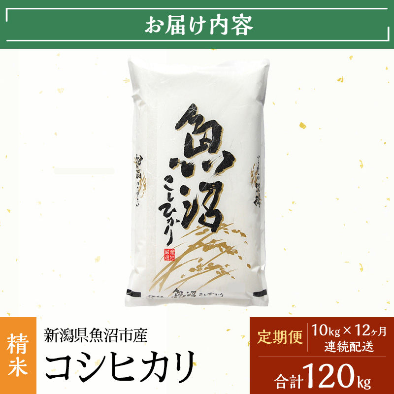 【定期便：雪国逸品 精米10kg×12ヶ月】越後魚沼郷 魚沼産コシヒカリ お米 人 自然調和 ミネラル 奇跡 自然環境 努カ 香り つや 粘り 極上 