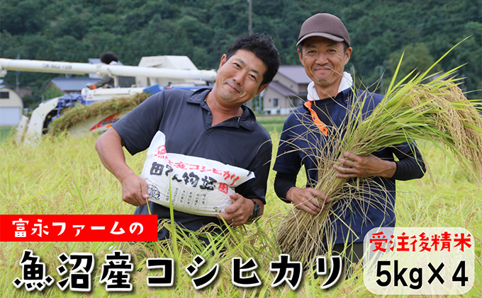 令和6年産 富永ファーム「田でん物語」魚沼産コシヒカリ（精米）20kg（5kg×4）