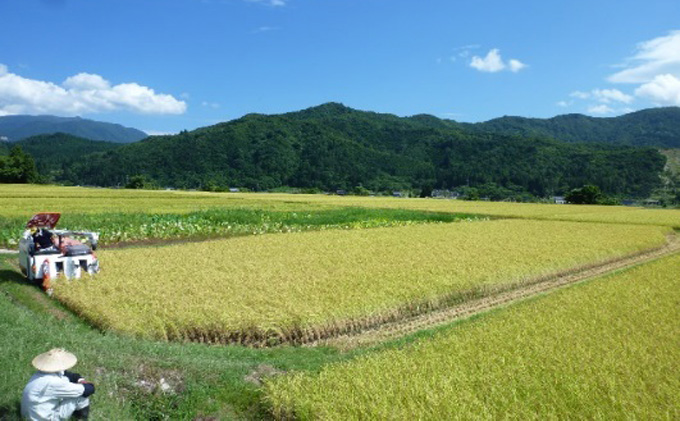 縺ゥ縺カ繧阪¥縲後″蜈ォシ医″縺ッ縺。シ峨1800ス考 譌・譛ャ驟 縺企 驟 豼驟 鬲壽イシ逕」 繧ウ繧キ繝偵き繝ェ 諠」莠秘ヮ