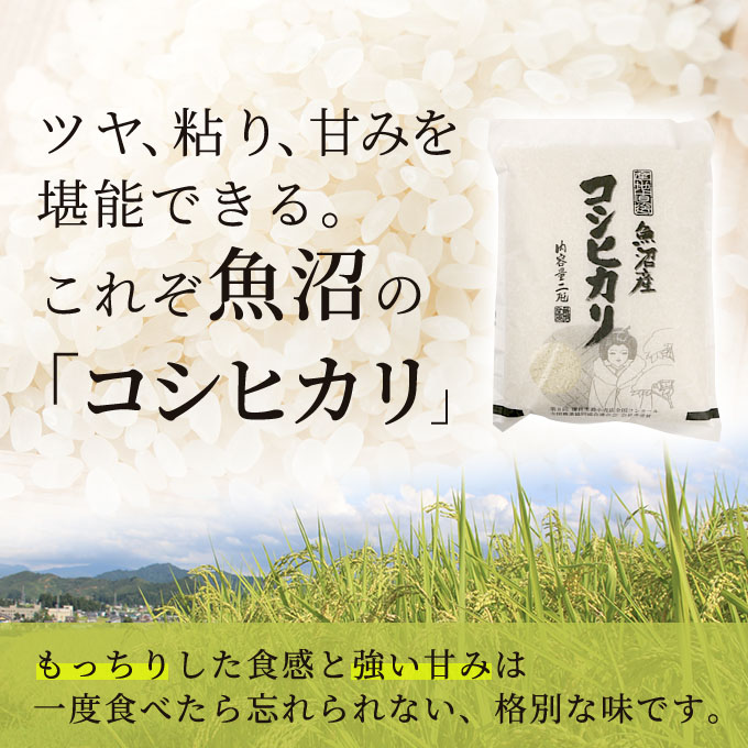 令和5年産 魚沼産 米 こだわりの3品種 食べ比べ セット 精米 6kg (2kg×3種類) ( 米 お米 こめ コメ おこめ 白米 こしひかり )