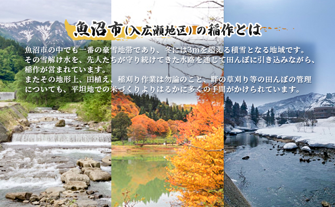 令和6年産 北魚沼「奥の極」入広瀬の米（うまし故郷　入広瀬）精米2.9kg