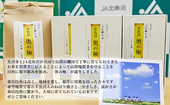 令和6年産 北魚沼「奥の極」入広瀬の米（うまし故郷　入広瀬）精米2.9kg