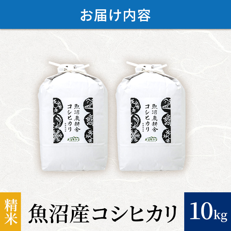 令和7年産 米農家自慢の 魚沼産 コシヒカリ（精米）10kg（5kg×2袋） お米 