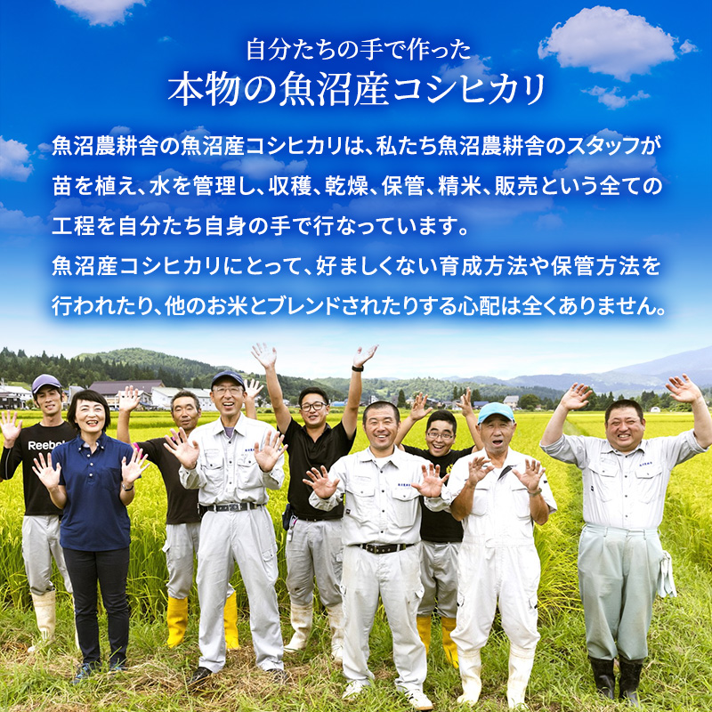 米農家自慢の特別栽培米魚沼産コシヒカリ(精米)10kg(5kg×2袋)隔⽉全6回お届け