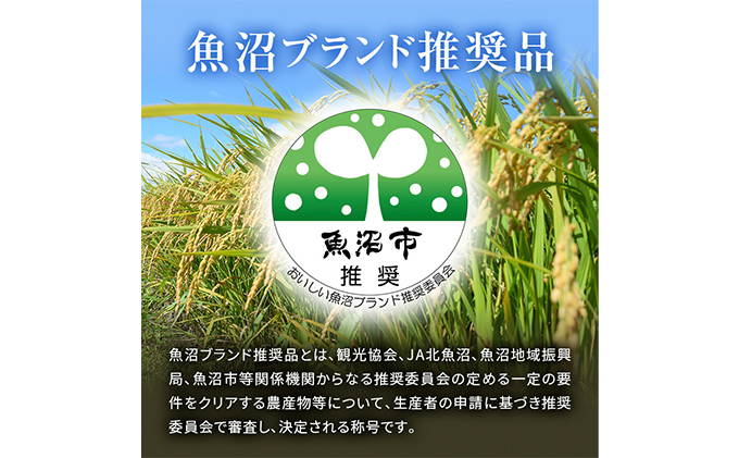 【特別栽培米】北魚沼産コシヒカリ（精米）5kg　3ヶ月連続お届け