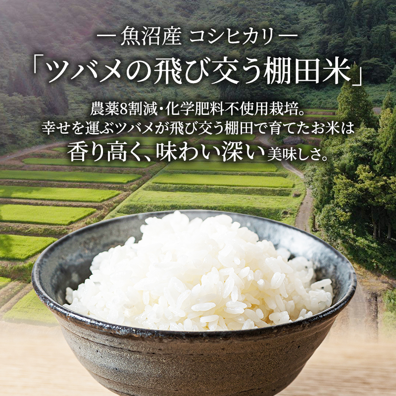 令和7年産 ツバメの飛び交う棚田米 精米3kg お米 白米 ライス ご飯 ブランド米 銘柄米 コシヒカリ 魚沼産コシヒカリ 新潟県産 魚沼市産 