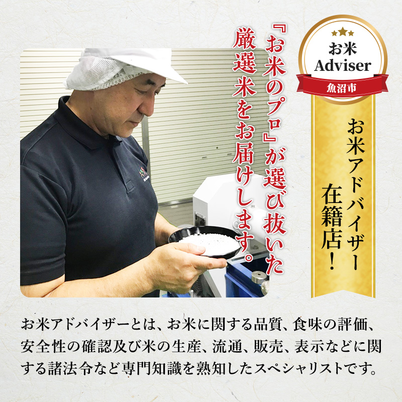 魚沼産 米 ！こだわりの食べ比べ セット 6kg 5ヶ月 連続お届け （ こしひかり 食べ比べ お米 定期 特別栽培米 特別栽培 魚沼産コシヒカリ こめ コメ 新潟 魚沼 魚沼産こしひかり おこめ 白米 精米 お楽しみ 5回 ）