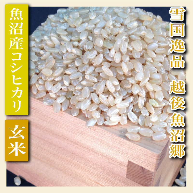 令和5年産【雪国逸品 玄米2Kg】越後魚沼郷 魚沼産コシヒカリ