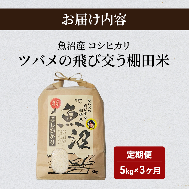 ツバメの飛び交う棚田米　5kg袋　3ヶ月連続お届け