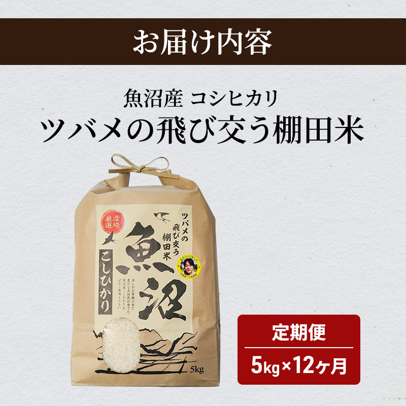 ツバメの飛び交う棚田米 5kg袋 12ヶ月 連続お届け ( 米 定期便 お米 こめ コメ おこめ 白米 こしひかり 12回 60kg お楽しみ )