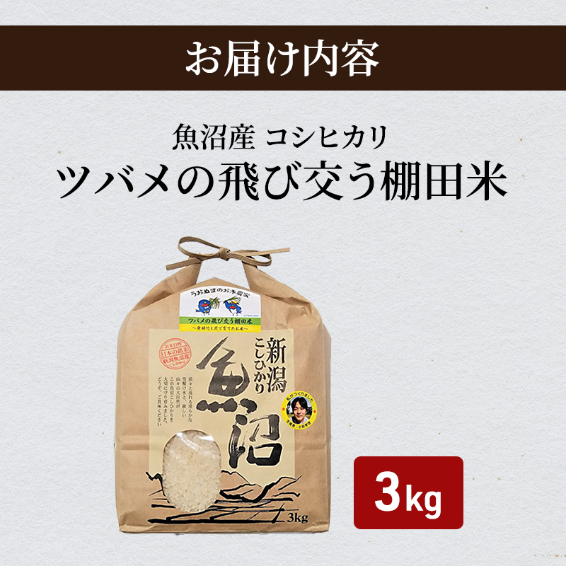 令和7年産 ツバメの飛び交う棚田米 精米3kg お米 白米 ライス ご飯 ブランド米 銘柄米 コシヒカリ 魚沼産コシヒカリ 新潟県産 魚沼市産 
