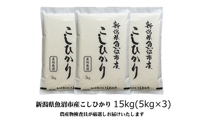 【令和8年産 新米先行受付】農産物検査員お奨め 魚沼産こしひかり（精米）15kg（5kg×3）米 コメ こめ お米 おこめ 白米 コシヒカリ 新潟県産 人気 お取り寄せ