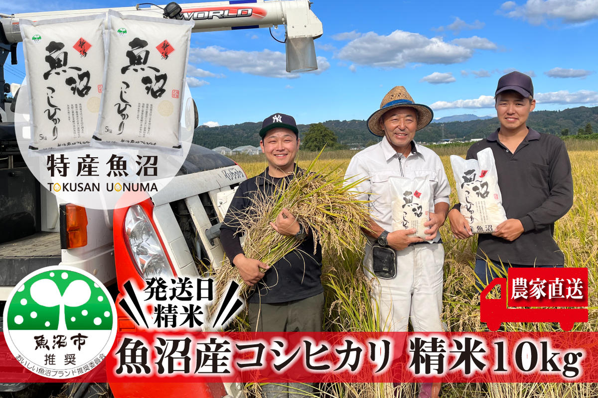 【令和6年産　新米先行受付】令和6年産 農家直送！ 魚沼産 コシヒカリ 精米 10kg （ 5kg × 2 ）（ 米 こしひかり お米 こめ コメ おこめ 白米 魚沼 魚沼産コシヒカリ 魚沼産こしひかり 新潟 ）