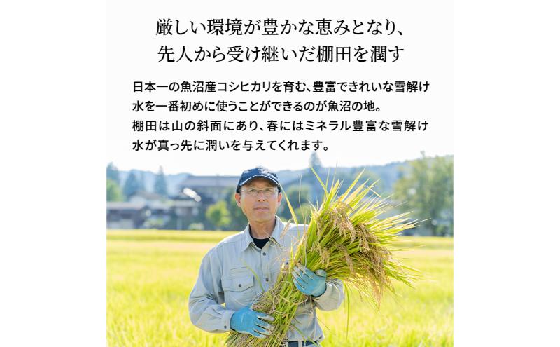 【令和6年産　新米先行受付】[令和6年産]米農家自慢の 特別栽培米 魚沼産 コシヒカリ（精米）5kg×1袋 白米 お米 こめ コメ 魚沼産コシヒカリ こしひかり 魚沼