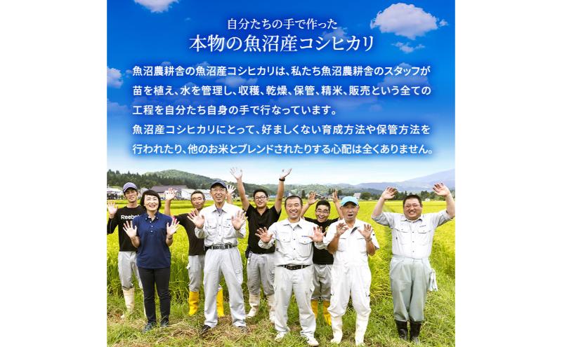 【令和6年産　新米先行受付】[令和6年産]米農家自慢の 特別栽培米 魚沼産 コシヒカリ（精米）5kg×1袋 白米 お米 こめ コメ 魚沼産コシヒカリ こしひかり 魚沼