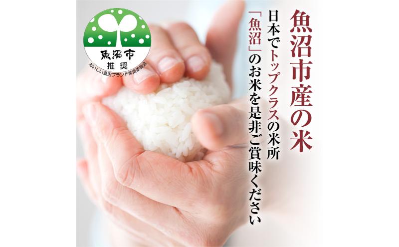 【令和6年産　新米先行受付】[令和6年産]米農家自慢の 魚沼産 コシヒカリ（精米）10kg（5kg×2袋）白米 お米 こめ コメ 魚沼産コシヒカリ こしひかり 魚沼