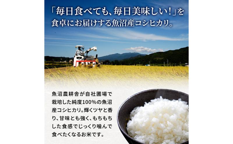 【令和6年産　新米先行受付】[令和6年産]米農家自慢の 魚沼産 コシヒカリ（精米）10kg（5kg×2袋）白米 お米 こめ コメ 魚沼産コシヒカリ こしひかり 魚沼